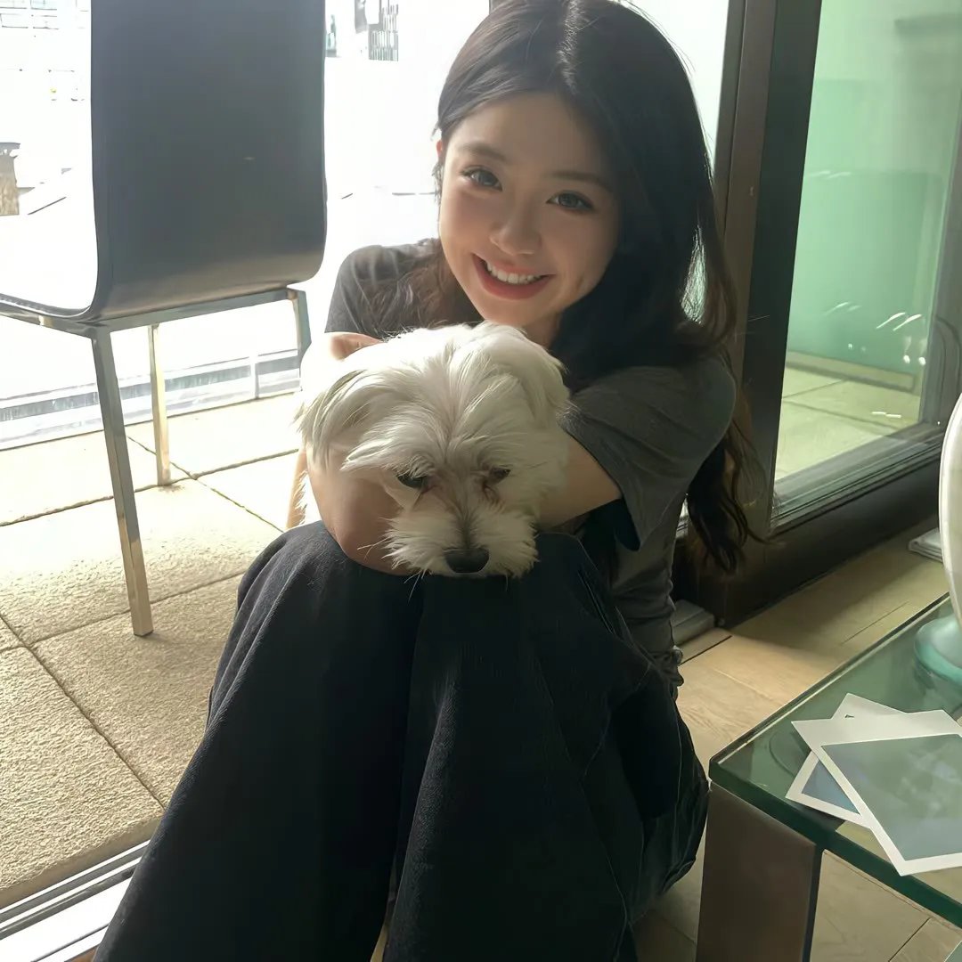 有毛冇翼飞天猪